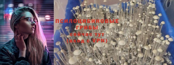 таблы Алексин