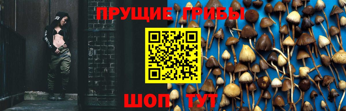 Галлюциногенные грибы ЛСД  Вход с VPN  Березники  Псилоцибиновые грибы Magic Shrooms 